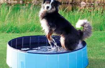 Piscina para perros Trixie barata, ofertas para mascotas